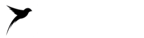 喜鹊标书模版